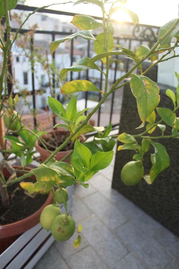 Dimore De La Rosa Palermo Exteriér fotografie